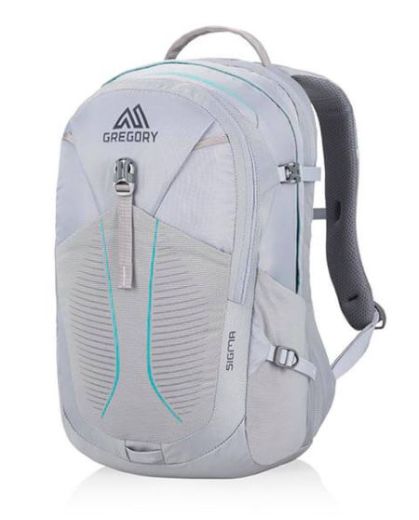gregory everyday backpack